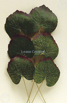 Afbeeldingen van LeCreaDesign® Bladgroen pakket "begonia"