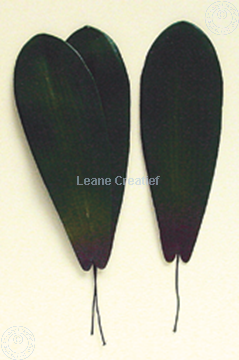 Afbeeldingen van LeCreaDesign® Bladgroen pakket "phalaenopsis"
