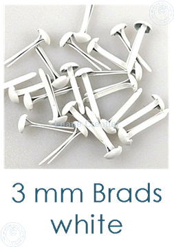 Picture of 40 Brads 3mm White